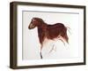 Horse and Hind, Palaeolithic Cave Painting from Altamira, Southern Spain, C16,000-C9000 Bc-null-Framed Giclee Print