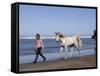 Horse and Lady Walking on Beach (Photo Released), California-Lynn M^ Stone-Framed Stretched Canvas