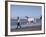 Horse and Lady Walking on Beach (Photo Released), California-Lynn M^ Stone-Framed Photographic Print