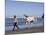 Horse and Lady Walking on Beach (Photo Released), California-Lynn M^ Stone-Mounted Photographic Print