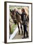 Horse and Lovely Equestrian Girl, Care for a Horse-Gorilla-Framed Photographic Print