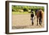 Horse and Lovely Equestrian Girl-Gorilla-Framed Photographic Print