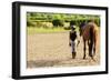 Horse and Lovely Equestrian Girl-Gorilla-Framed Photographic Print