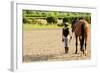 Horse and Lovely Equestrian Girl-Gorilla-Framed Photographic Print