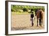 Horse and Lovely Equestrian Girl-Gorilla-Framed Photographic Print