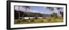 Horse and Palm Trees on the Coast, Hawaii, USA-null-Framed Photographic Print