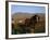 Horse and Plough, County Sligo, Connacht, Eire (Republic of Ireland)-Christina Gascoigne-Framed Photographic Print