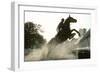 Horse and Rider Jump Though Pond and over Fence as Competitors in for the United Sta…, 1978 (Photo)-Nathan Benn-Framed Giclee Print