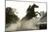 Horse and Rider Jump Though Pond and over Fence as Competitors in for the United Sta…, 1978 (Photo)-Nathan Benn-Mounted Giclee Print