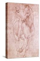 Horse and Rider-Leonardo da Vinci-Stretched Canvas