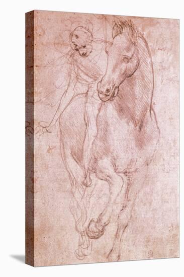 Horse and Rider-Leonardo da Vinci-Stretched Canvas
