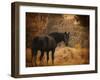 Horse and the Haystack-Jai Johnson-Framed Giclee Print