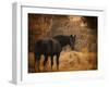 Horse and the Haystack-Jai Johnson-Framed Giclee Print