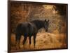 Horse and the Haystack-Jai Johnson-Framed Giclee Print