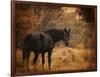 Horse and the Haystack-Jai Johnson-Framed Premium Giclee Print