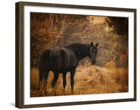 Horse and the Haystack-Jai Johnson-Framed Giclee Print