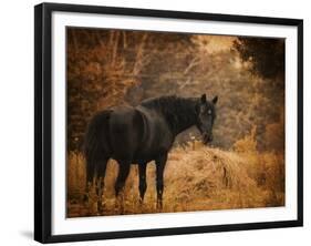 Horse and the Haystack-Jai Johnson-Framed Giclee Print