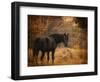 Horse and the Haystack-Jai Johnson-Framed Premium Giclee Print