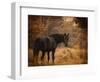 Horse and the Haystack-Jai Johnson-Framed Premium Giclee Print