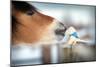 Horse and Toy Horse in Winter, Kiss.-Alexia Khruscheva-Mounted Photographic Print