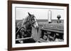 Horse and Tractor-John Vachon-Framed Photographic Print