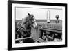 Horse and Tractor-John Vachon-Framed Photographic Print