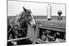 Horse and Tractor-John Vachon-Mounted Photographic Print