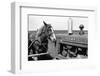 Horse and Tractor-John Vachon-Framed Photographic Print