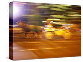 Horse and Wagon at Night, Melbourne, Victoria, Australia-David Wall-Stretched Canvas