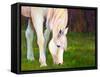 Horse Art Print-Blenda Tyvoll-Framed Stretched Canvas