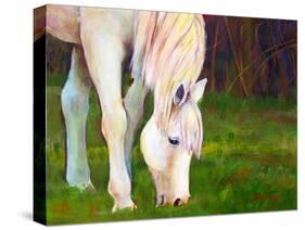 Horse Art Print-Blenda Tyvoll-Stretched Canvas