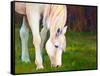 Horse Art Print-Blenda Tyvoll-Framed Stretched Canvas