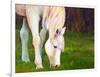 Horse Art Print-Blenda Tyvoll-Framed Premium Giclee Print