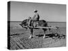 Horse Assisting the Farmer in Plowing the Field-Carl Mydans-Stretched Canvas