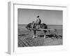 Horse Assisting the Farmer in Plowing the Field-Carl Mydans-Framed Photographic Print