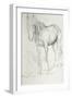 Horse at Coolmore, 1990-Antonio Ciccone-Framed Giclee Print