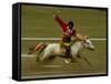 Horse at the Horse Racing Festival, Zhongdian, Deqin Tibetan Autonomous Prefecture, China-Pete Oxford-Framed Stretched Canvas