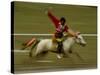 Horse at the Horse Racing Festival, Zhongdian, Deqin Tibetan Autonomous Prefecture, China-Pete Oxford-Stretched Canvas