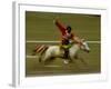 Horse at the Horse Racing Festival, Zhongdian, Deqin Tibetan Autonomous Prefecture, China-Pete Oxford-Framed Photographic Print