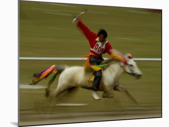 Horse at the Horse Racing Festival, Zhongdian, Deqin Tibetan Autonomous Prefecture, China-Pete Oxford-Mounted Photographic Print