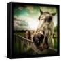Horse Baring Teeth-Stephen Arens-Framed Stretched Canvas