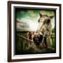 Horse Baring Teeth-Stephen Arens-Framed Photographic Print