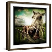 Horse Baring Teeth-Stephen Arens-Framed Photographic Print