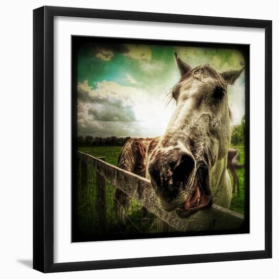 Horse Baring Teeth-Stephen Arens-Framed Photographic Print