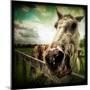 Horse Baring Teeth-Stephen Arens-Mounted Photographic Print