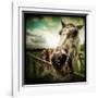 Horse Baring Teeth-Stephen Arens-Framed Photographic Print