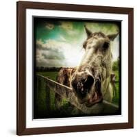 Horse Baring Teeth-Stephen Arens-Framed Photographic Print