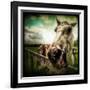 Horse Baring Teeth-Stephen Arens-Framed Photographic Print