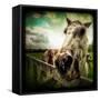 Horse Baring Teeth-Stephen Arens-Framed Stretched Canvas