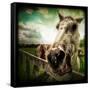 Horse Baring Teeth-Stephen Arens-Framed Stretched Canvas